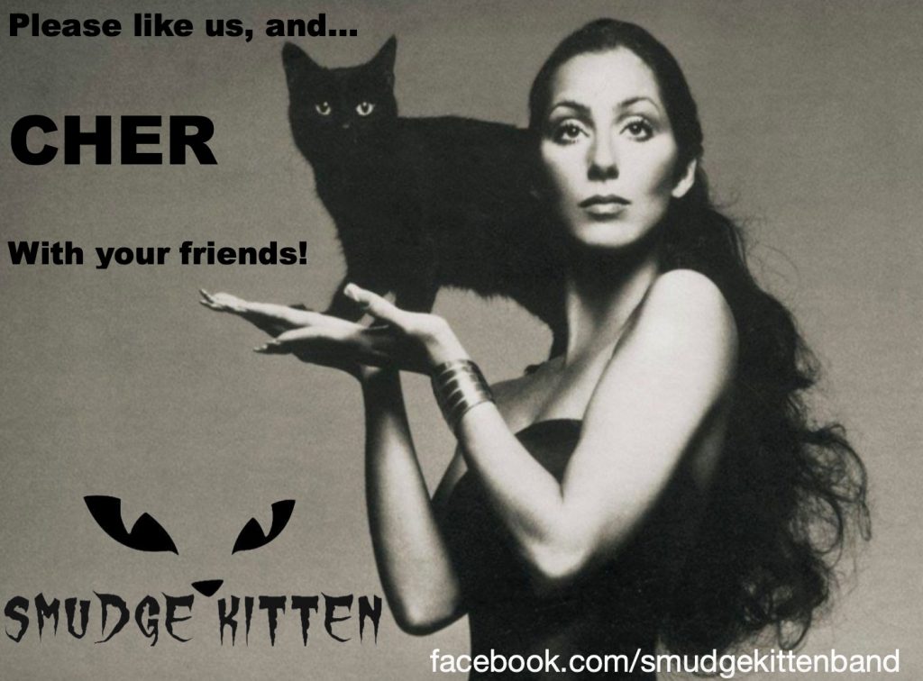 Cher Smudge Kitten